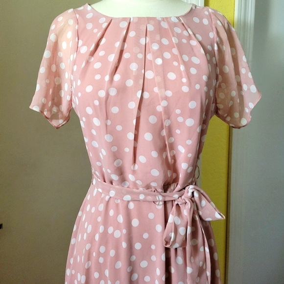 New Beautiful R & K Blush Polka-dot A line Dress size 8 - Picture 3 of 14